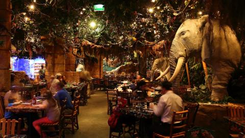 Rainforest Cafe