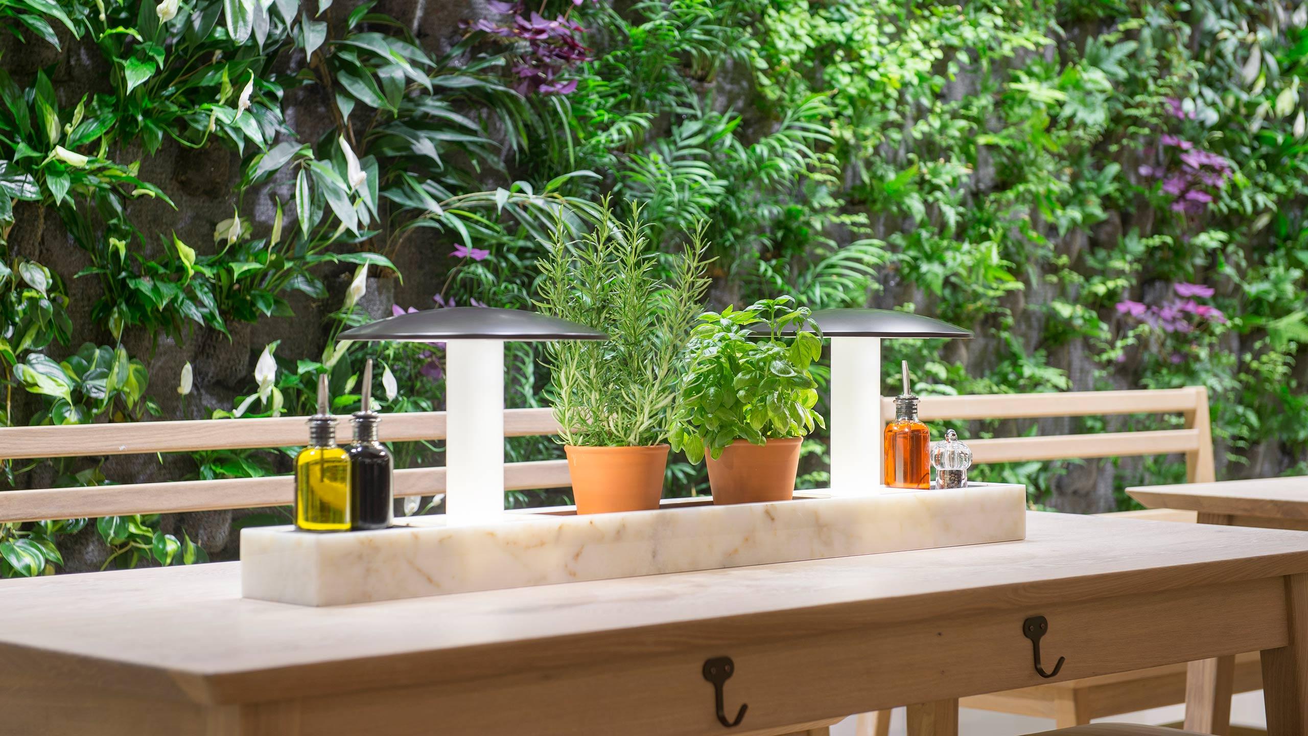 vapiano in italia Puff Vuse Go 1000 Shop Vuse Go 1000 Puff Kits Box Of 10 main image 0