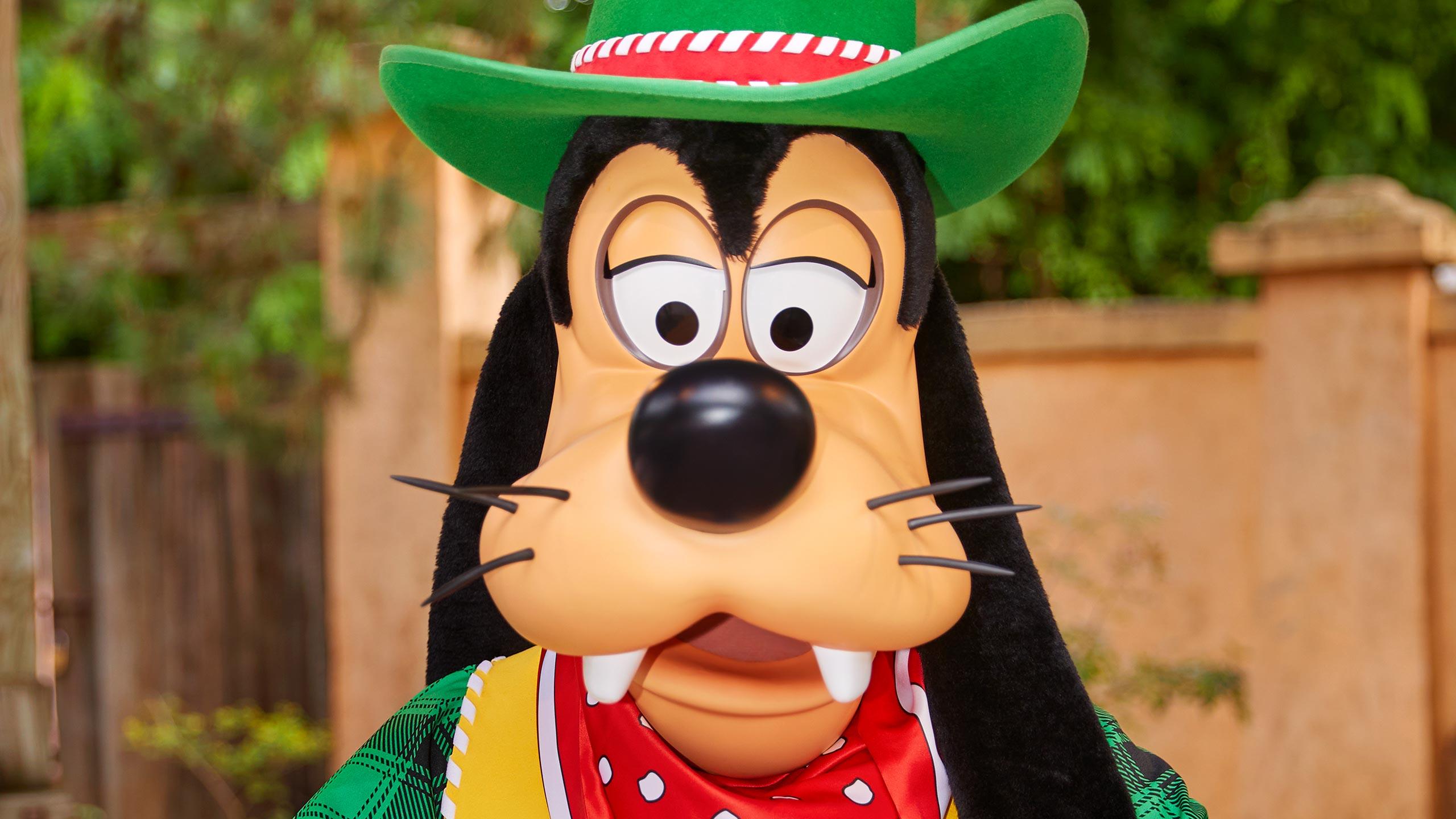Ontmoeting met Goofy | Disneyland Paris